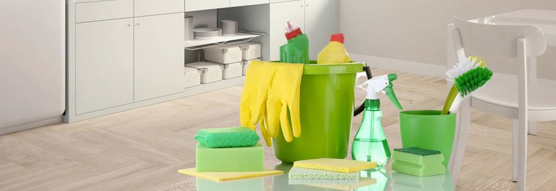 Lions Clean Services - servicii profesionale de curatenie si dezinsectie