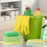 Lions Clean Services - servicii profesionale de curatenie si dezinsectie